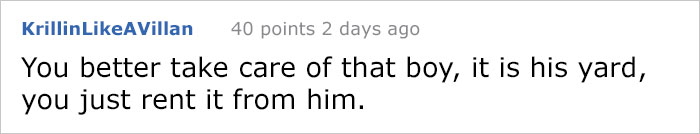 house-moving-free-feral-cat-mirandae-23