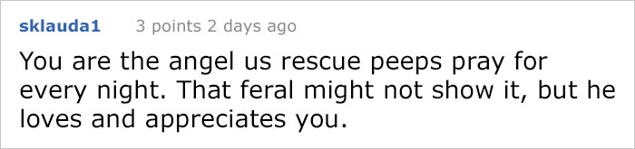 house-moving-free-feral-cat-mirandae-25