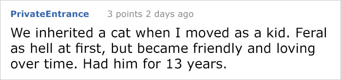 house-moving-free-feral-cat-mirandae-26