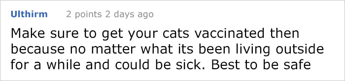 house-moving-free-feral-cat-mirandae-27