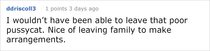 house-moving-free-feral-cat-mirandae-29 house-moving-free-feral-cat-mirandae-29