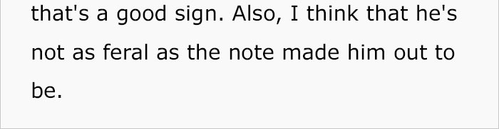 house-moving-free-feral-cat-mirandae-3 house-moving-free-feral-cat-mirandae-3