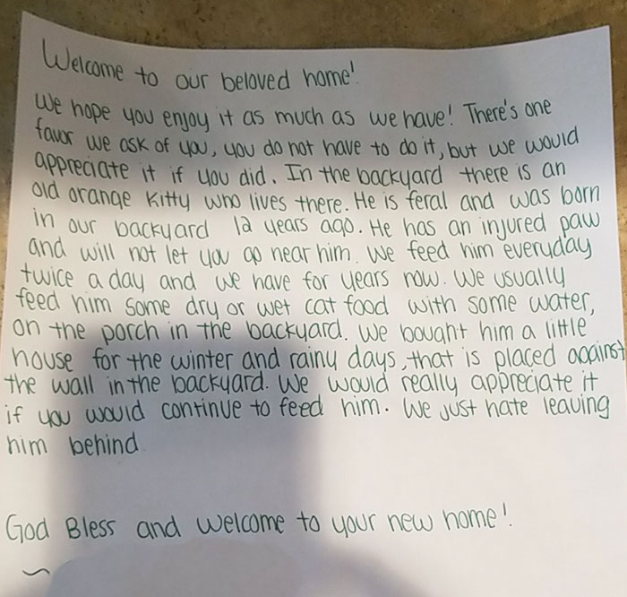 house-moving-free-feral-cat-mirandae-4