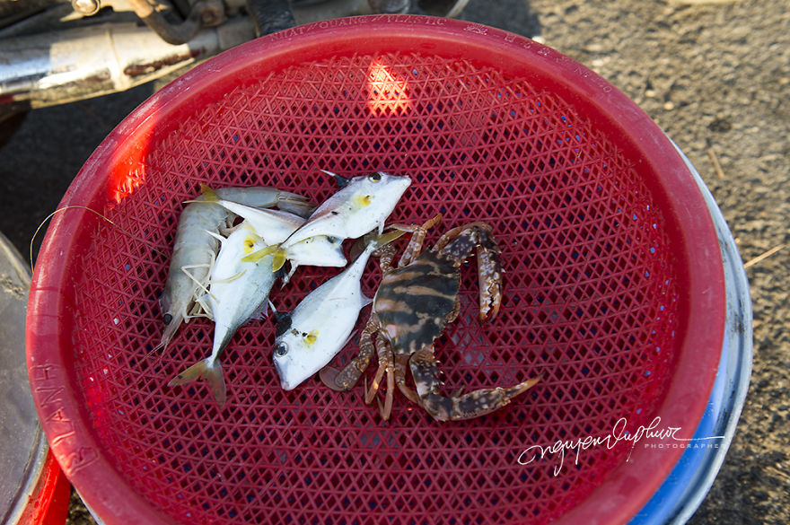 A Peaceful Fishing Village In Hue, Vietnam