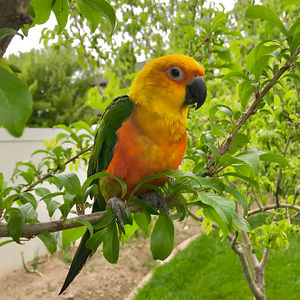 allisoncao0726 avatar