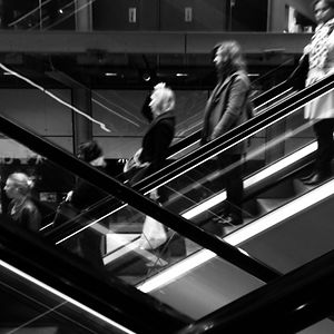 benredcatcity avatar