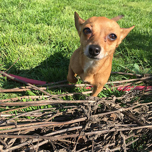 ils-sanchez13_1 avatar