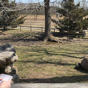 cassieperry98 avatar