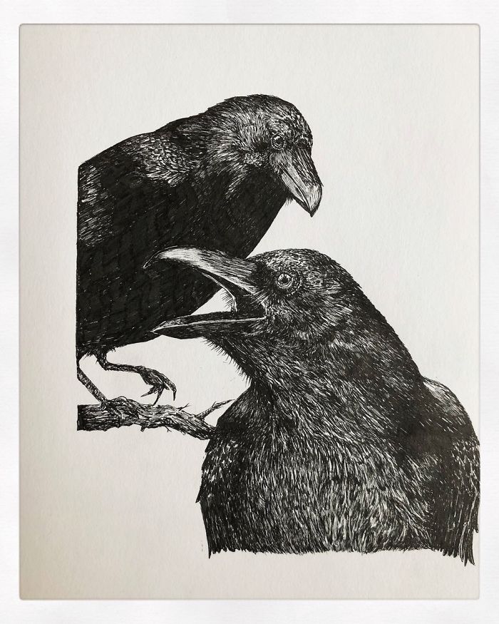 13 Detailed Birds Made With A Single Pen! All Drawn By Bas Geeraets 13 Detailed Birds Made With A Single Pen! All Drawn By Bas Geeraets