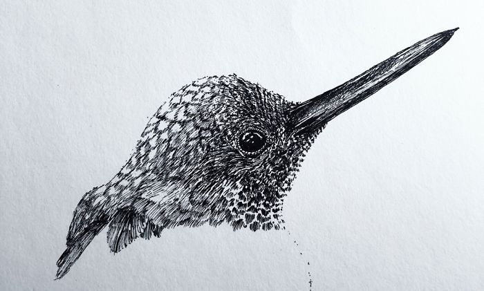 13 Detailed Birds Made With A Single Pen! All Drawn By Bas Geeraets 13 Detailed Birds Made With A Single Pen! All Drawn By Bas Geeraets