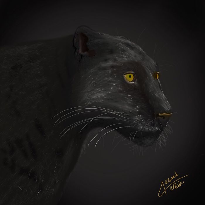 Black Is Always Meaning Full