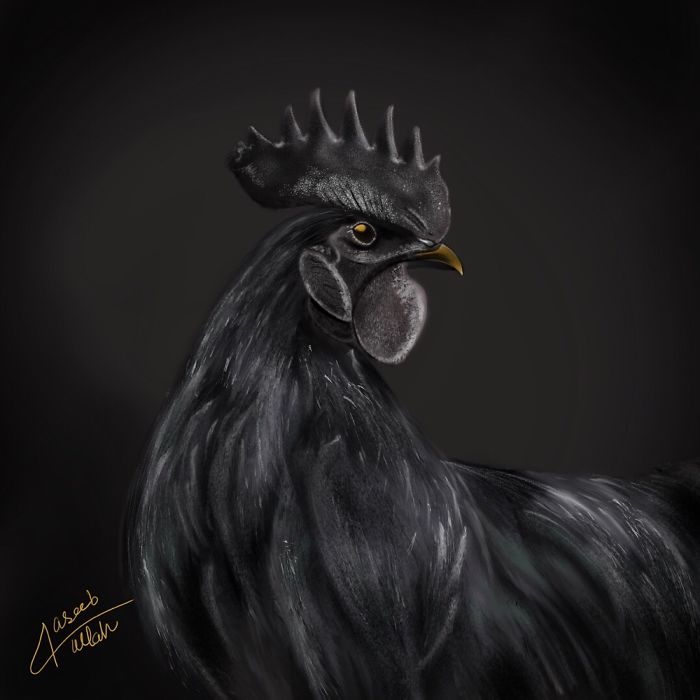 Black Is Always Meaning Full