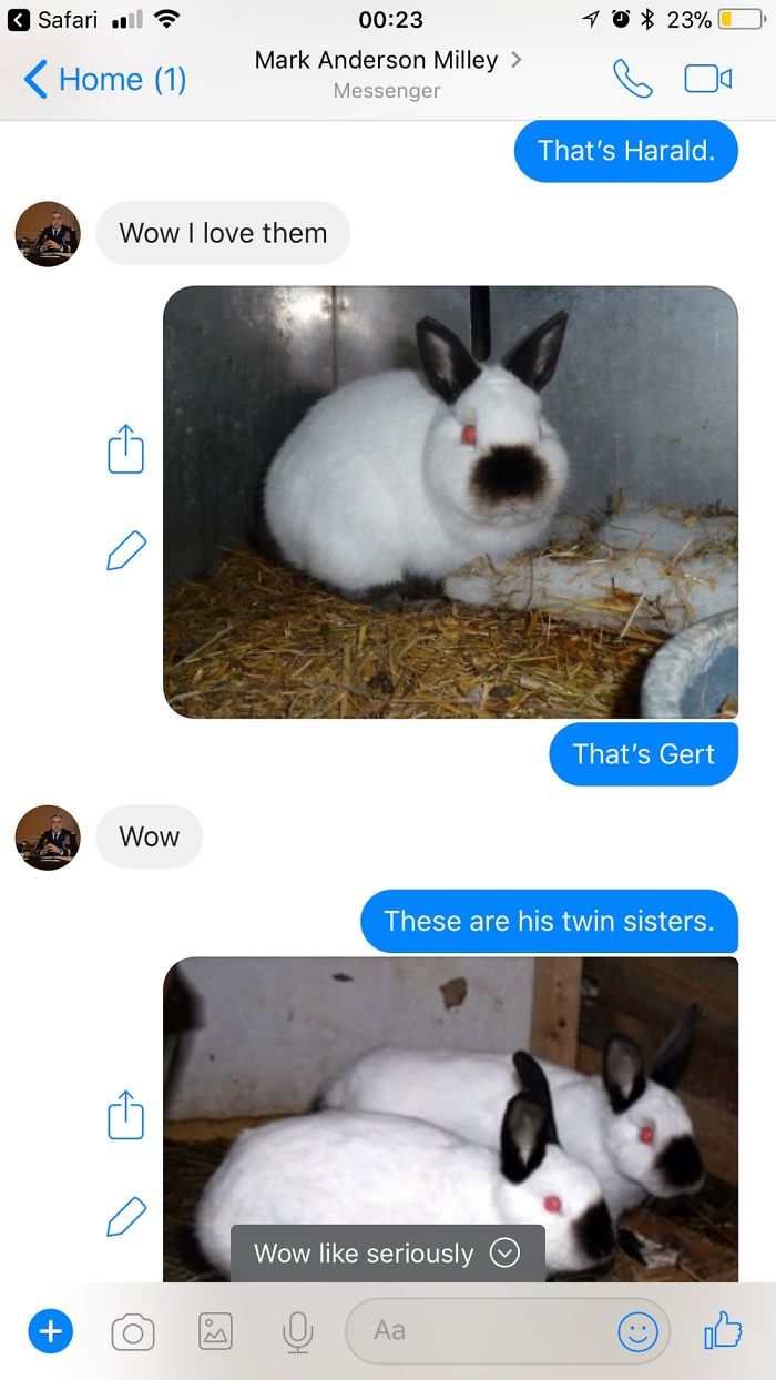 When A Scammer Contacted Me On Facebook And I Had Some Fun 😈 When A Scammer Contacted Me On Facebook And I Had Some Fun 😈