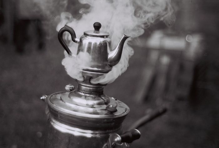 Magical Forest Midsummer’s Day In Estonia