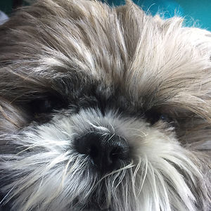 jadelynmdeleon avatar