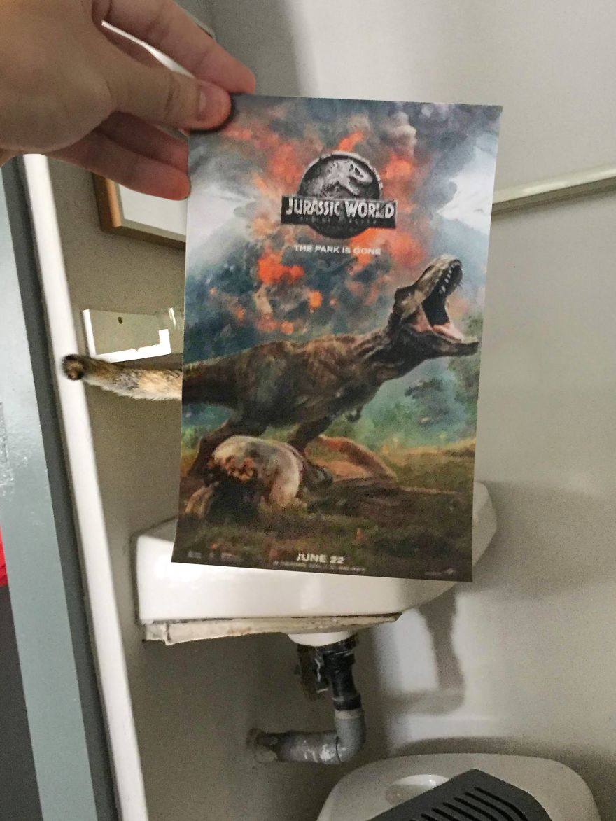 Photographer Follows Cats Around To "Insert" Them Behind Famous Movie Posters