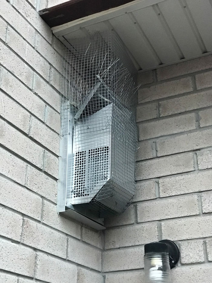 Guy Tries To Fight Against Birds For 4 Years, And It Gets Funnier With Every Pic Guy Tries To Fight Against Birds For 4 Years, And It Gets Funnier With Every Pic