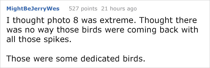 Guy Tries To Fight Against Birds For 4 Years, And It Gets Funnier With Every Pic Guy Tries To Fight Against Birds For 4 Years, And It Gets Funnier With Every Pic