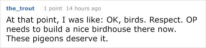 Guy Tries To Fight Against Birds For 4 Years, And It Gets Funnier With Every Pic Guy Tries To Fight Against Birds For 4 Years, And It Gets Funnier With Every Pic