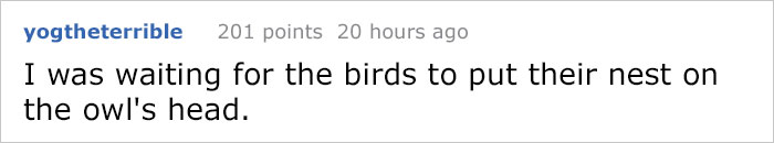 Guy Tries To Fight Against Birds For 4 Years, And It Gets Funnier With Every Pic Guy Tries To Fight Against Birds For 4 Years, And It Gets Funnier With Every Pic