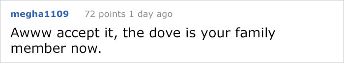 Guy Tries To Fight Against Birds For 4 Years, And It Gets Funnier With Every Pic Guy Tries To Fight Against Birds For 4 Years, And It Gets Funnier With Every Pic