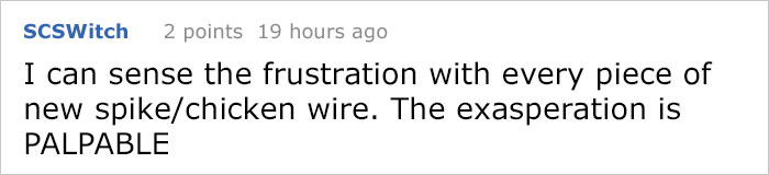 Guy Tries To Fight Against Birds For 4 Years, And It Gets Funnier With Every Pic Guy Tries To Fight Against Birds For 4 Years, And It Gets Funnier With Every Pic