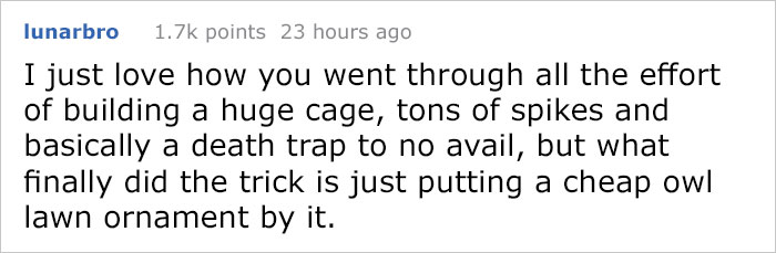 Guy Tries To Fight Against Birds For 4 Years, And It Gets Funnier With Every Pic