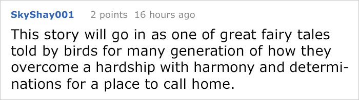 Guy Tries To Fight Against Birds For 4 Years, And It Gets Funnier With Every Pic Guy Tries To Fight Against Birds For 4 Years, And It Gets Funnier With Every Pic