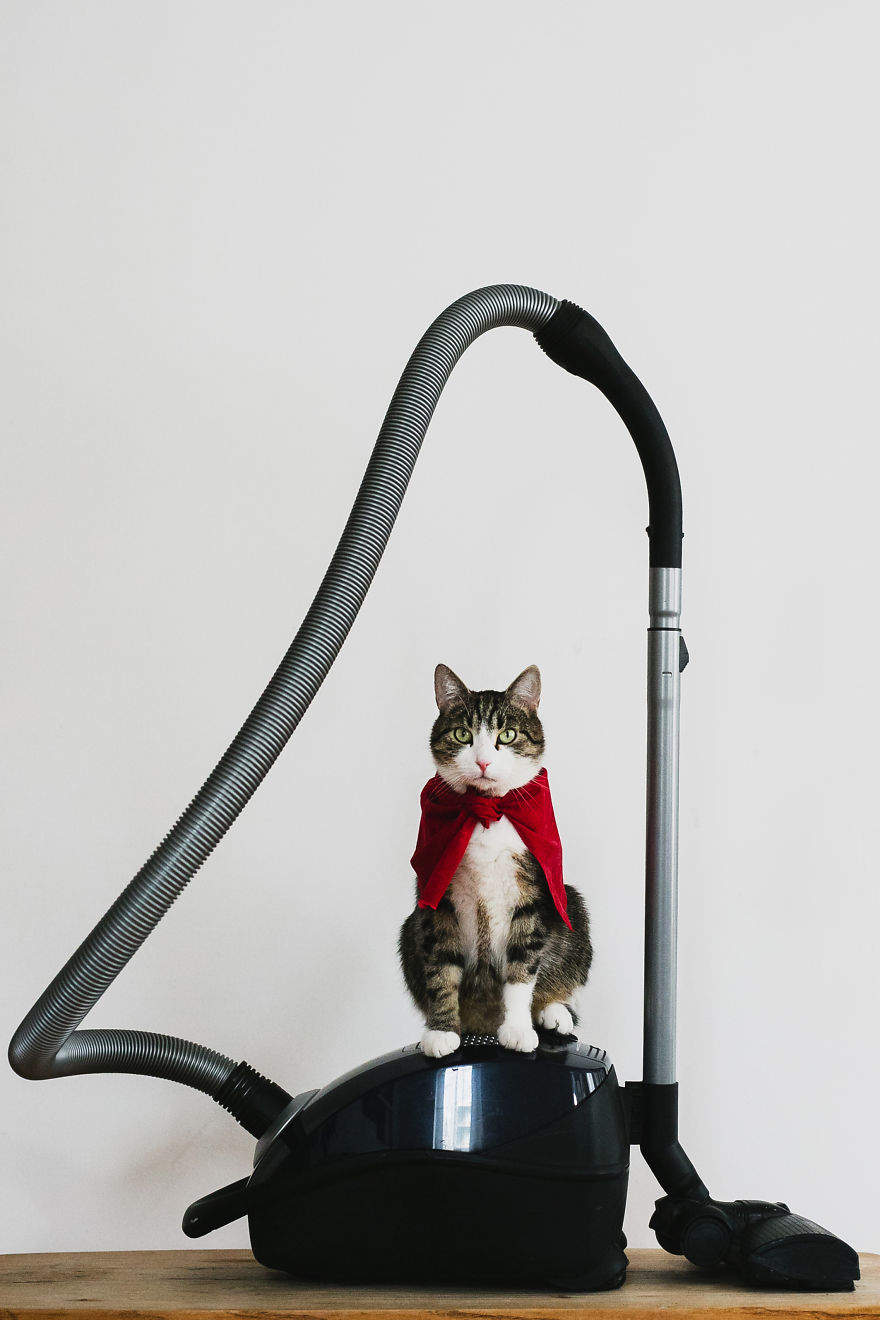 My Private Cats' Models!