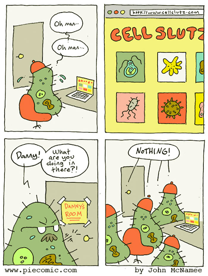 Piecomic-John-Mcnamee-Comics