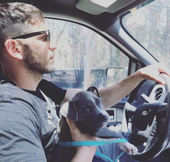 Heartwarming Photos Of 'The Walking Dead' Star With His 3 Rescue Pit Bulls Will Melt Your Heart Heartwarming Photos Of 'The Walking Dead' Star With His 3 Rescue Pit Bulls Will Melt Your Heart