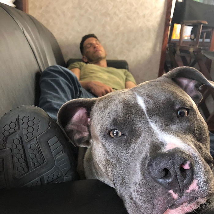 Heartwarming Photos Of 'The Walking Dead' Star With His 3 Rescue Pit Bulls Will Melt Your Heart Heartwarming Photos Of 'The Walking Dead' Star With His 3 Rescue Pit Bulls Will Melt Your Heart