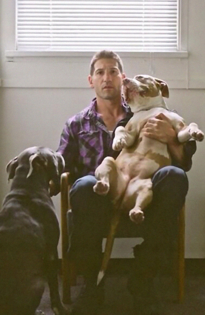 Heartwarming Photos Of 'The Walking Dead' Star With His 3 Rescue Pit Bulls Will Melt Your Heart Heartwarming Photos Of 'The Walking Dead' Star With His 3 Rescue Pit Bulls Will Melt Your Heart