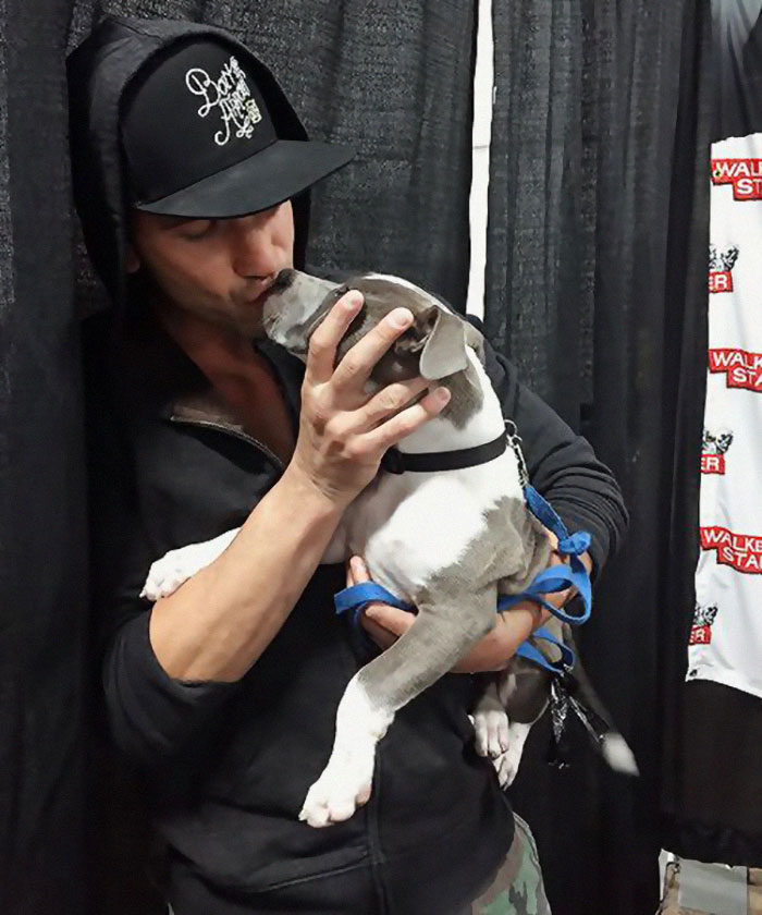 Heartwarming Photos Of 'The Walking Dead' Star With His 3 Rescue Pit Bulls Will Melt Your Heart Heartwarming Photos Of 'The Walking Dead' Star With His 3 Rescue Pit Bulls Will Melt Your Heart