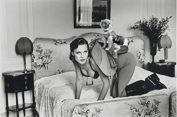 10 Times This Dog Photobombed Iconic Helmut Newton Pics With Hilarious Results (Nsfw)