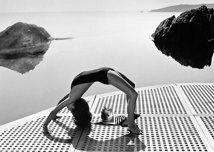 10 Times This Dog Photobombed Iconic Helmut Newton Pics With Hilarious Results (Nsfw)