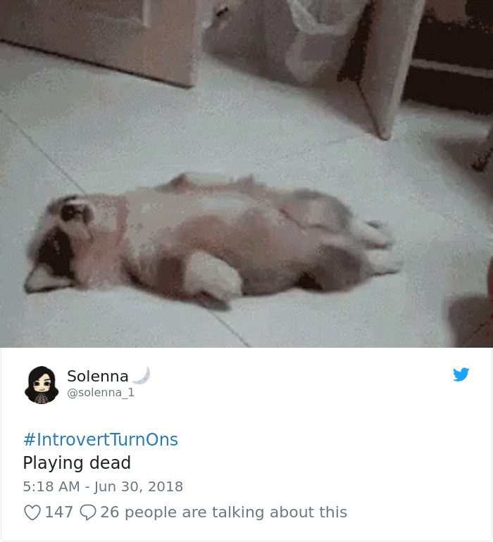 Things Turn Introverts On