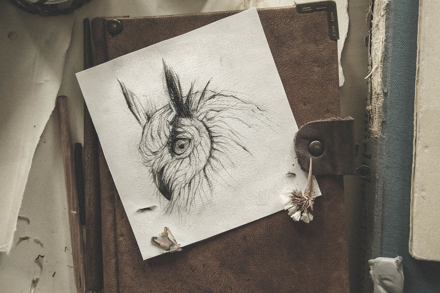 My Sketchbook Drawing Collection Of Animals 2017-18