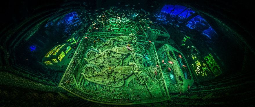 Underwater Photographer Of The Year. "Cycle-War" By Tobias Friedrich, Germany