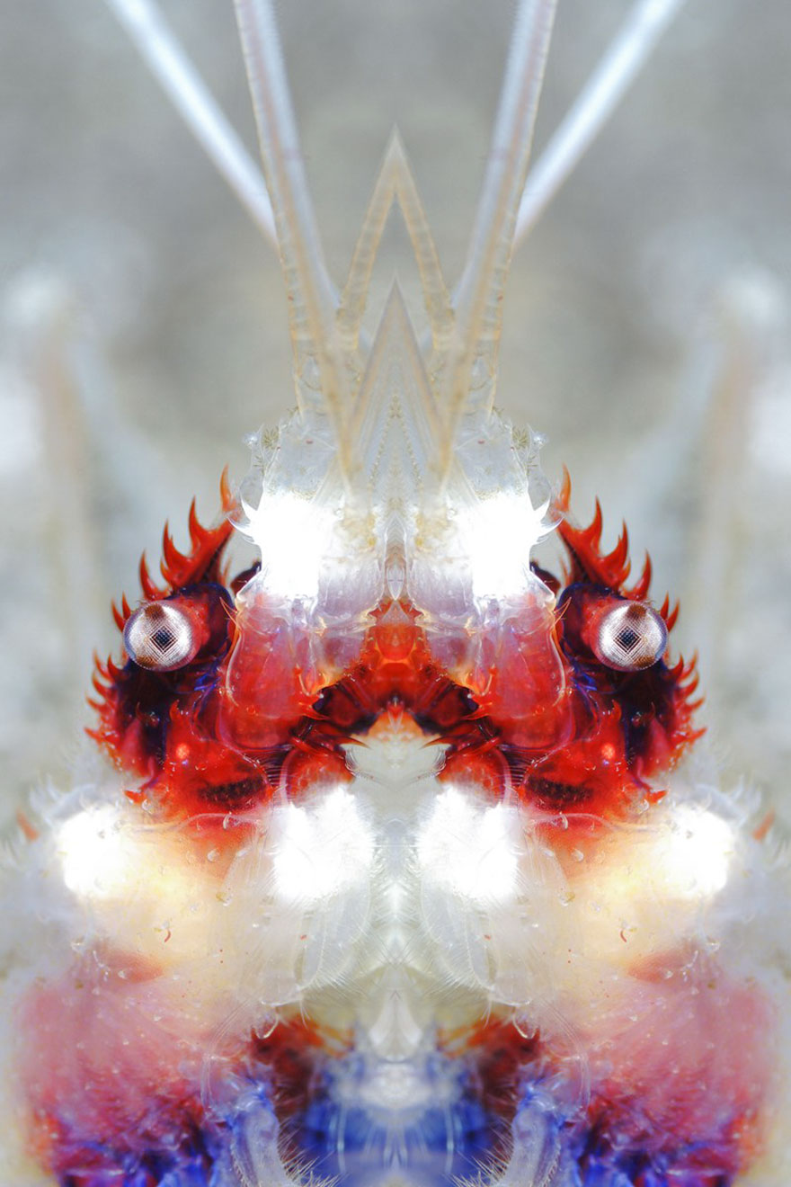 Up & Coming Category: "Ruby" By Clarissa Ace, Indonesia