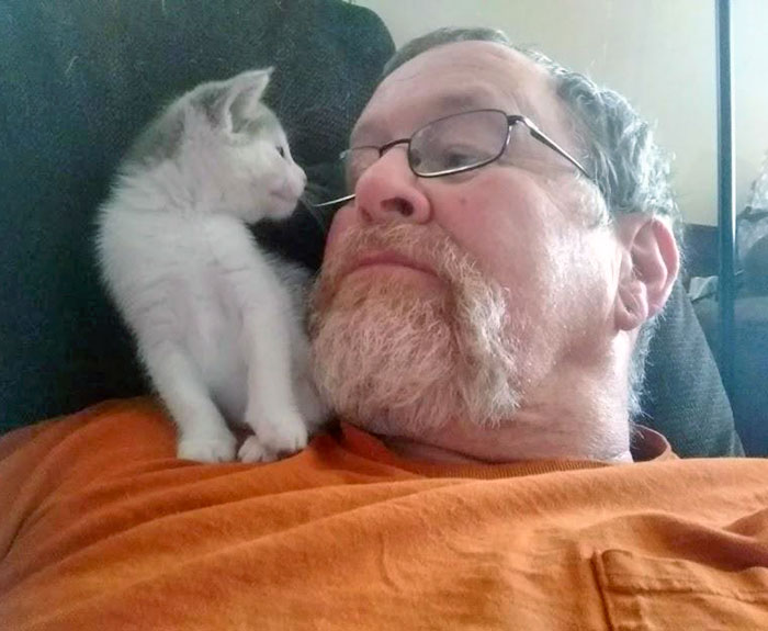 At 62 Years Old, I Decided To Get Over My "I Don't Like Cats" Phase. Here Is The Result So Far