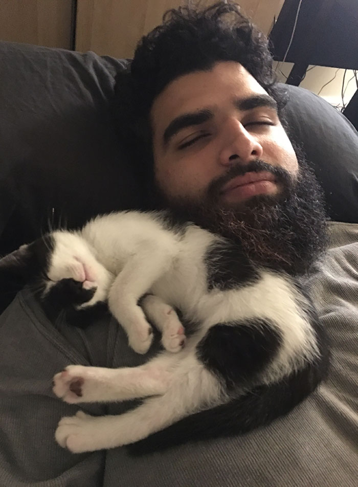 I've Been Allergic My Whole Life To Cats. I've Finally Built Up Enough Of An Immunity Through Injections. Please Welcome My First Rescue Kitty, Legolas