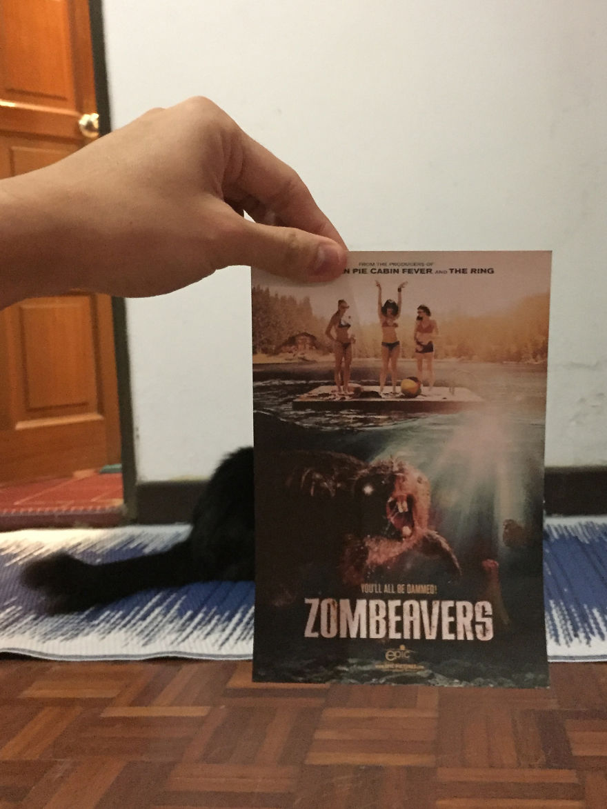 Photographer Follows Cats Around To "Insert" Them Behind Famous Movie Posters