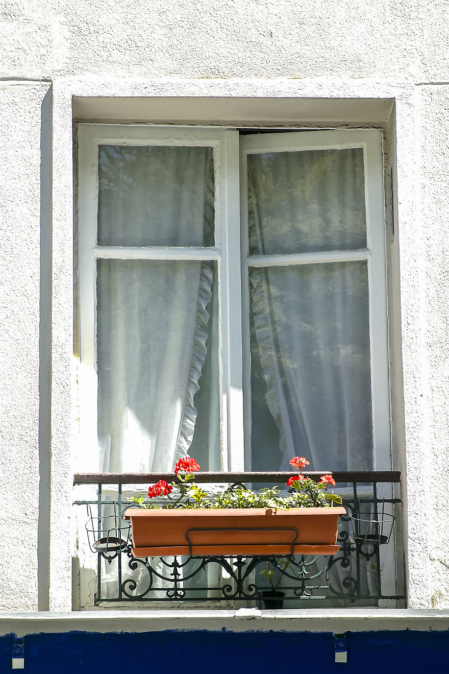 Flowery Windows