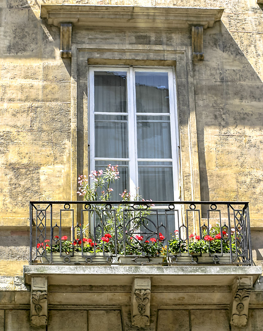 Flowery Windows