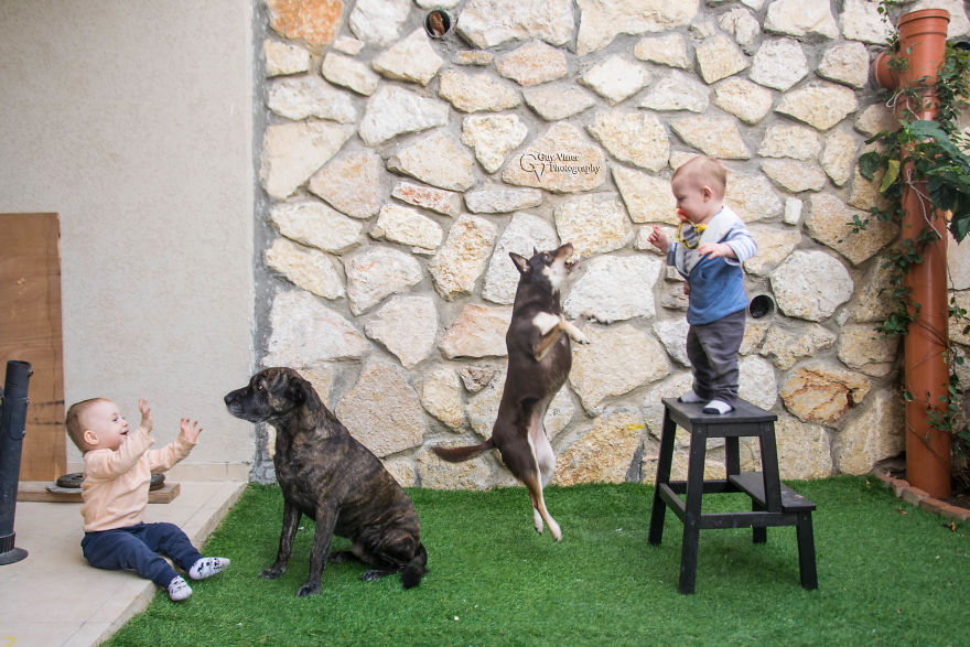 The Kids Are Training The Dogs