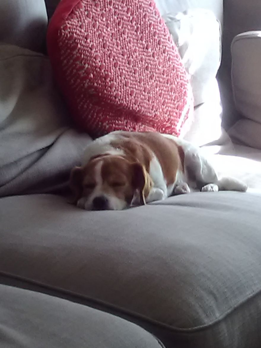 Abandoned At 4 Months Abandoned At 4 Months