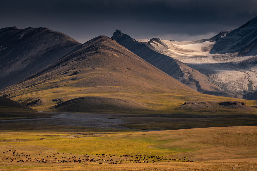 Hundreds Of Sheep In Just Another Valley In Kyrgyzstan, Surrounded By Glaciers