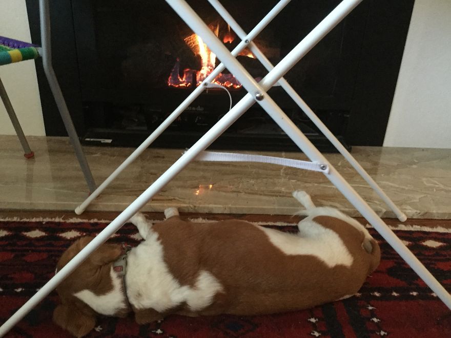 Abandoned At 4 Months Abandoned At 4 Months