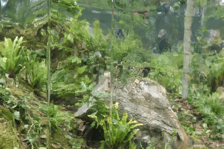 I Created A Secret Forest In The Very Heart Of London